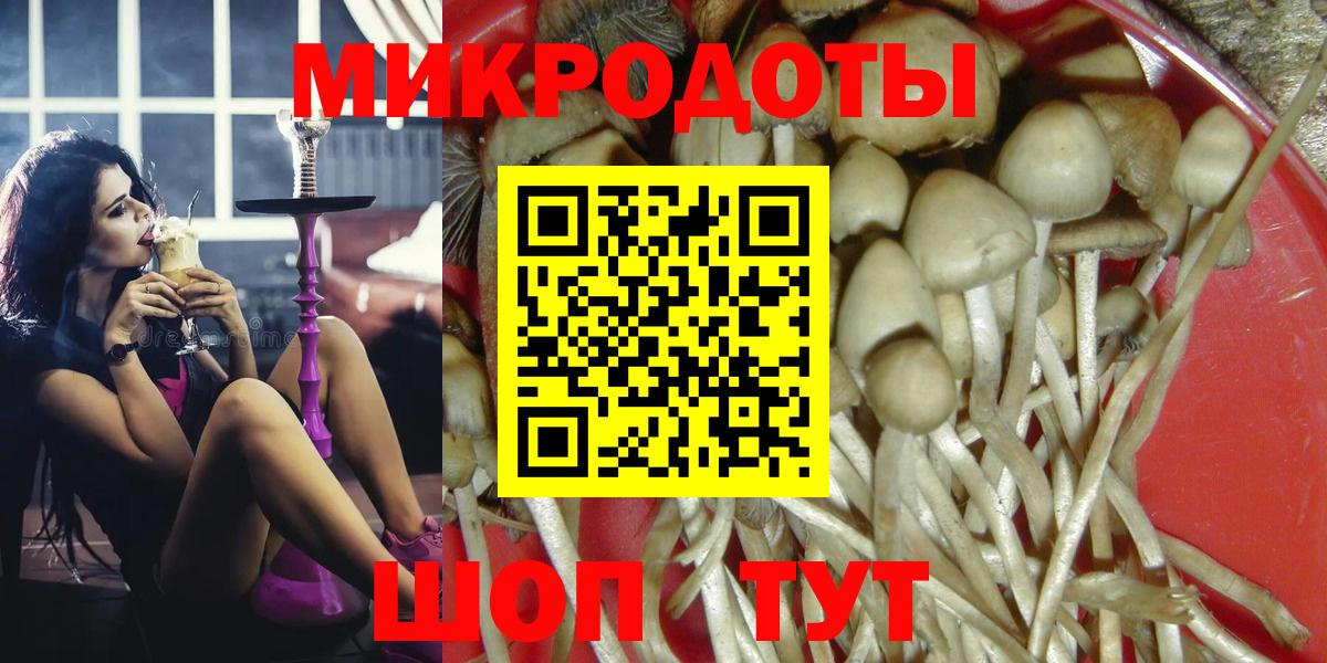 Псилоцибиновые грибы Psilocybine cubensis Заречный