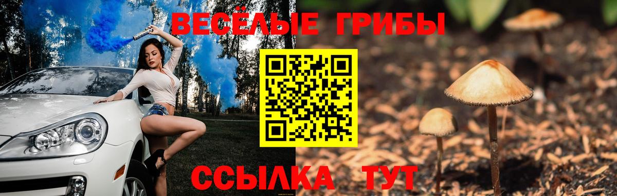 Заречный  Галлюциногенные грибы мицелий  Вход с VPN 